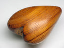 TOKO-BEADS PW301-73S Wooden bead 29~30mm PW301-73S ウッドビーズ 29~30mm Asian bead & African bead  Handmade,Lampeork,bead,asia,india,ethnic,parts,accessory,beads とんぼ玉,ビーズ,トンボ玉,アジア,インド,エスニック,手作り,パーツ,アクセサリー