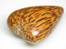 TOKO-BEADS PW305-34S Palm wood bead 29~30mm PW305-34S ココナッツビーズ 29~30mm Asian bead & African bead  Handmade,Lampeork,bead,asia,india,ethnic,parts,accessory,beads とんぼ玉,ビーズ,トンボ玉,アジア,インド,エスニック,手作り,パーツ,アクセサリー