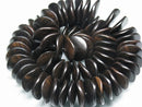 TOKO-BEADS PW311-93N Wooden bead (strand) 20mm PW311-93N ウッドビーズ（連） 20mm Asian bead & African bead  Handmade,Lampeork,bead,asia,india,ethnic,parts,accessory,beads とんぼ玉,ビーズ,トンボ玉,アジア,インド,エスニック,手作り,パーツ,アクセサリー