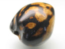 TOKO-BEADS PW998-18 Seed bead 20~24mm PW998-18 種子ビーズ（クミリ・ククイナッツ） 20~24mm Asian bead & African bead  Handmade,Lampeork,bead,asia,india,ethnic,parts,accessory,beads とんぼ玉,ビーズ,トンボ玉,アジア,インド,エスニック,手作り,パーツ,アクセサリー
