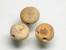 TOKO-BEADS PW999-07S Palm wood bead 8mm PW999-07S ココナッツビーズ 8mm Asian bead & African bead  Handmade,Lampeork,bead,asia,india,ethnic,parts,accessory,beads とんぼ玉,ビーズ,トンボ玉,アジア,インド,エスニック,手作り,パーツ,アクセサリー