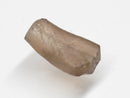 TOKO-BEADS | TOKO-BEADS |RG051-50 ローマングラス 8mm | TOKO-BEADS |RG051-50 Roman Glass bead 8mm Asian bead & African bead  Handmade,Lampeork,bead,asia,india,ethnic,parts,accessory,beads とんぼ玉,ビーズ,トンボ玉,アジア,インド,エスニック,手作り,パーツ,アクセサリー