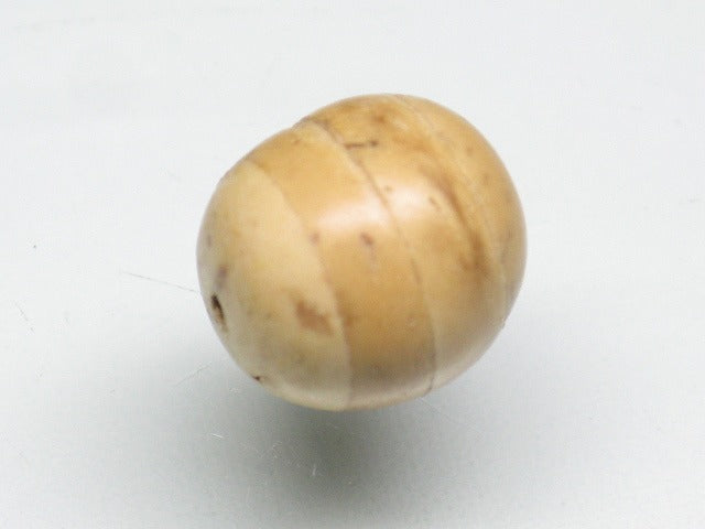 TOKO-BEADS SW003-12 Palm wood bead 10mm SW003-12 ココナッツビーズ 10mm Asian bead & African bead  Handmade,Lampeork,bead,asia,india,ethnic,parts,accessory,beads とんぼ玉,ビーズ,トンボ玉,アジア,インド,エスニック,手作り,パーツ,アクセサリー