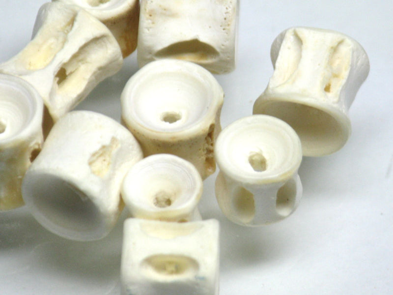 TOKO-BEADS AB138-05 Fish Bone bead (2g) 6~10mm AB138-05 フィシュボーンビーズ2g 6~10mm Asian bead & African bead  Handmade,Lampeork,bead,asia,india,ethnic,parts,accessory,beads とんぼ玉,ビーズ,トンボ玉,アジア,インド,エスニック,手作り,パーツ,アクセサリー