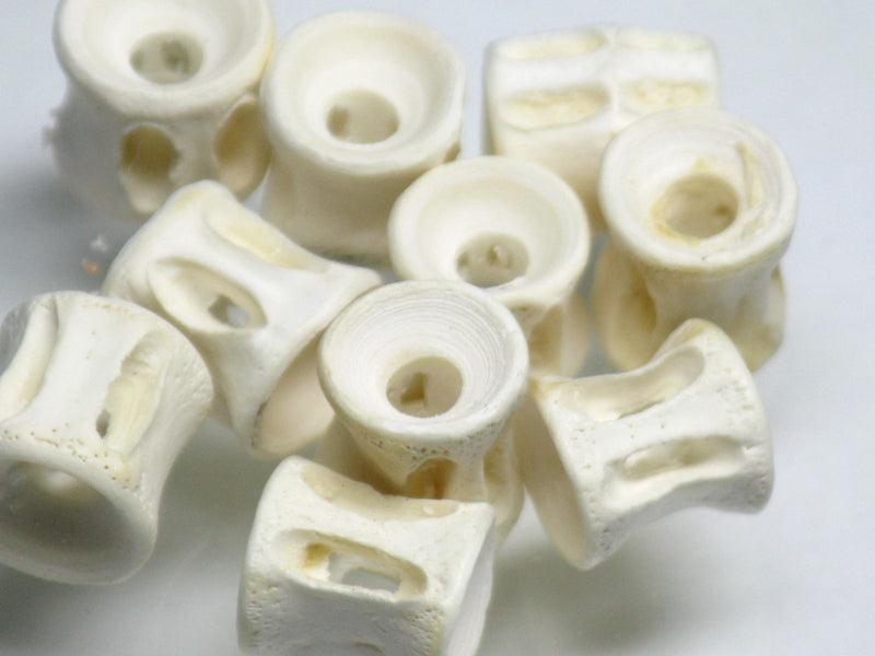 TOKO-BEADS AB138-08 Fish Bone bead (2g) 7~8mm AB138-08 フィシュボーンビーズ2g 7~8mm Asian bead & African bead  Handmade,Lampeork,bead,asia,india,ethnic,parts,accessory,beads とんぼ玉,ビーズ,トンボ玉,アジア,インド,エスニック,手作り,パーツ,アクセサリー