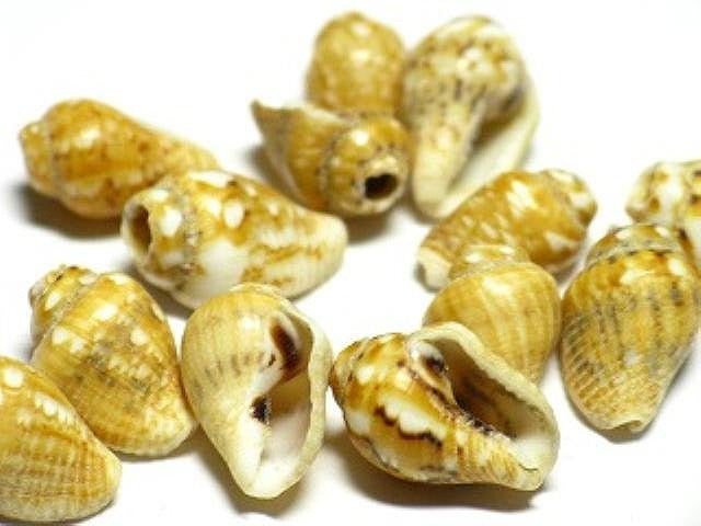 TOKO-BEADS AB177-02 Shell bead (2g) 7mm AB177-02 シェルビーズ2gセット 7mm Asian bead & African bead  Handmade,Lampeork,bead,asia,india,ethnic,parts,accessory,beads とんぼ玉,ビーズ,トンボ玉,アジア,インド,エスニック,手作り,パーツ,アクセサリー