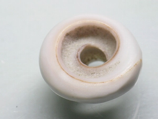 TOKO-BEADS AB189-03 Puka shell 20mm AB189-03 プカシェル 20mm Asian bead & African bead  Handmade,Lampeork,bead,asia,india,ethnic,parts,accessory,beads とんぼ玉,ビーズ,トンボ玉,アジア,インド,エスニック,手作り,パーツ,アクセサリー