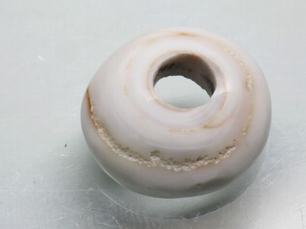 TOKO-BEADS AB189-11 Puka shell 19mm AB189-11 プカシェル 19mm Asian bead & African bead  Handmade,Lampeork,bead,asia,india,ethnic,parts,accessory,beads とんぼ玉,ビーズ,トンボ玉,アジア,インド,エスニック,手作り,パーツ,アクセサリー