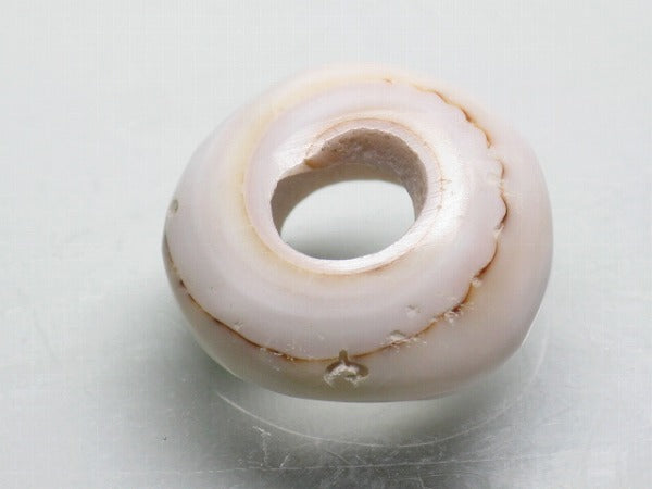 TOKO-BEADS AB189-18 Puka shell 18mm AB189-18 プカシェル 18mm Asian bead & African bead  Handmade,Lampeork,bead,asia,india,ethnic,parts,accessory,beads とんぼ玉,ビーズ,トンボ玉,アジア,インド,エスニック,手作り,パーツ,アクセサリー