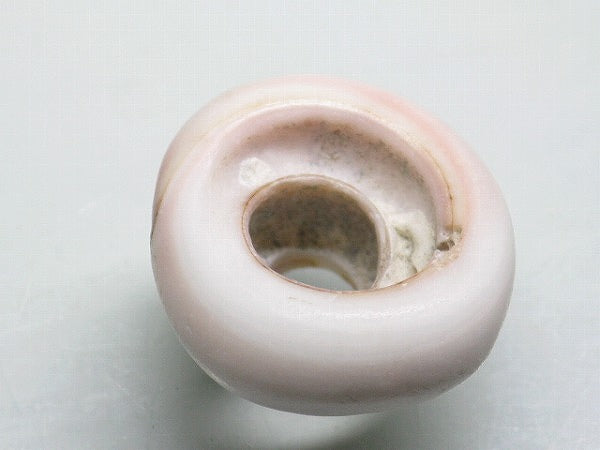 TOKO-BEADS AB189-42 Puka shell 21mm AB189-42 プカシェル 21mm Asian bead & African bead  Handmade,Lampeork,bead,asia,india,ethnic,parts,accessory,beads とんぼ玉,ビーズ,トンボ玉,アジア,インド,エスニック,手作り,パーツ,アクセサリー