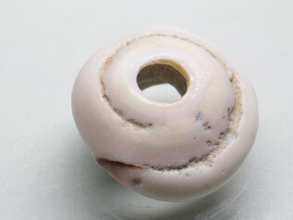 TOKO-BEADS AB189-42 Puka shell 21mm AB189-42 プカシェル 21mm Asian bead & African bead  Handmade,Lampeork,bead,asia,india,ethnic,parts,accessory,beads とんぼ玉,ビーズ,トンボ玉,アジア,インド,エスニック,手作り,パーツ,アクセサリー