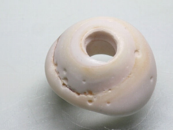 TOKO-BEADS AB189-44 Puka shell 21mm AB189-44 プカシェル 21mm Asian bead & African bead  Handmade,Lampeork,bead,asia,india,ethnic,parts,accessory,beads とんぼ玉,ビーズ,トンボ玉,アジア,インド,エスニック,手作り,パーツ,アクセサリー