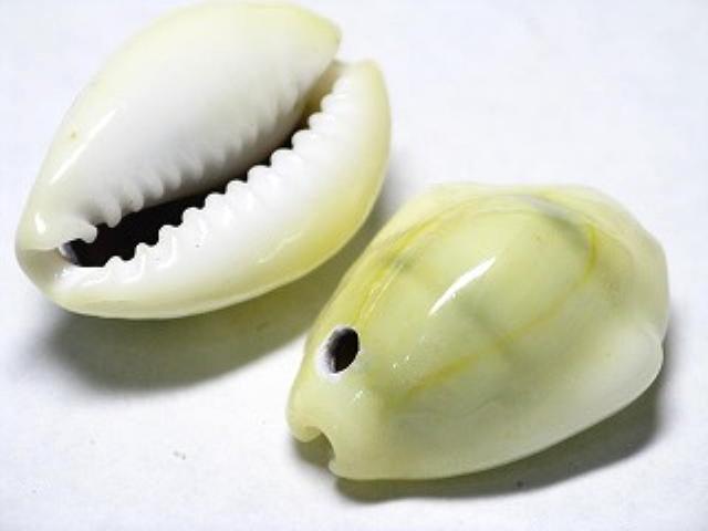 TOKO-BEADS AB191-02 Shell bead 15~19mm AB191-02 シェルビーズ 15~19mm Asian bead & African bead  Handmade,Lampeork,bead,asia,india,ethnic,parts,accessory,beads とんぼ玉,ビーズ,トンボ玉,アジア,インド,エスニック,手作り,パーツ,アクセサリー