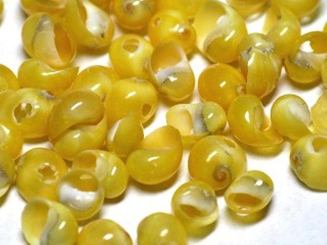 | TOKO-BEADS |AB191-07 シェルビーズ2g（約50個） 3~5mmとんぼ玉,ビーズ,トンボ玉,アジア,インド,エスニック,手作り,パーツ,アクセサリー