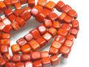 TOKO-BEADS AB195-50N Bone bead (strand) 5~6mm AB195-50N ボーンビーズ（連） 5~6mm Asian bead & African bead  Handmade,Lampeork,bead,asia,india,ethnic,parts,accessory,beads とんぼ玉,ビーズ,トンボ玉,アジア,インド,エスニック,手作り,パーツ,アクセサリー