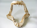 TOKO-BEADS AB301-01 Shark Jaw (Mako Shark) 320mm AB301-01 サメの顎（マコシャーク） 320mm Asian bead & African bead  Handmade,Lampeork,bead,asia,india,ethnic,parts,accessory,beads とんぼ玉,ビーズ,トンボ玉,アジア,インド,エスニック,手作り,パーツ,アクセサリー
