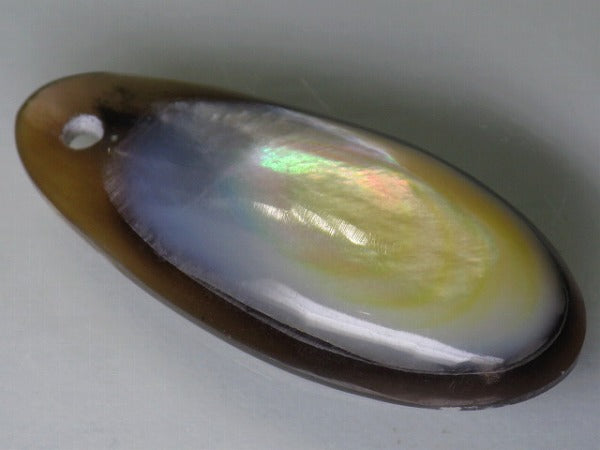 TOKO-BEADS AB303-01 Shell Charm 33mm AB303-01 アコヤ貝チャーム 33mm Asian bead & African bead  Handmade,Lampeork,bead,asia,india,ethnic,parts,accessory,beads とんぼ玉,ビーズ,トンボ玉,アジア,インド,エスニック,手作り,パーツ,アクセサリー