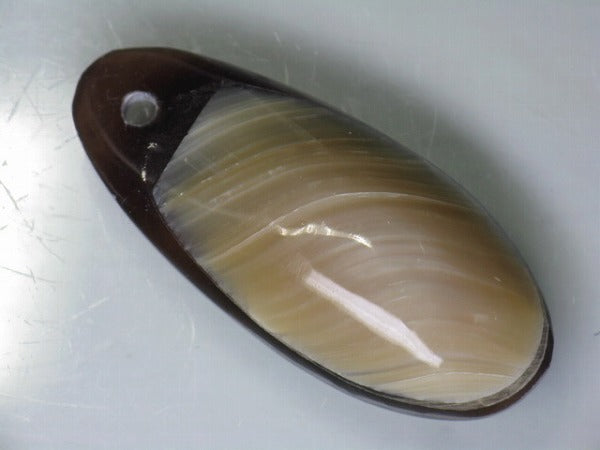 TOKO-BEADS AB303-18 Shell Charm 33mm AB303-18 アコヤ貝チャーム 33mm Asian bead & African bead  Handmade,Lampeork,bead,asia,india,ethnic,parts,accessory,beads とんぼ玉,ビーズ,トンボ玉,アジア,インド,エスニック,手作り,パーツ,アクセサリー