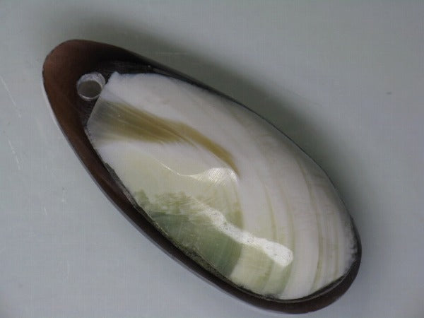 TOKO-BEADS AB303-24 Shell Charm 33mm AB303-24 アコヤ貝チャーム 33mm Asian bead & African bead  Handmade,Lampeork,bead,asia,india,ethnic,parts,accessory,beads とんぼ玉,ビーズ,トンボ玉,アジア,インド,エスニック,手作り,パーツ,アクセサリー