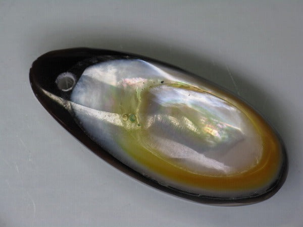 TOKO-BEADS AB303-28 Shell Charm 33mm AB303-28 アコヤ貝チャーム 33mm Asian bead & African bead  Handmade,Lampeork,bead,asia,india,ethnic,parts,accessory,beads とんぼ玉,ビーズ,トンボ玉,アジア,インド,エスニック,手作り,パーツ,アクセサリー