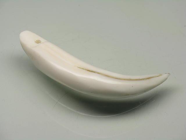 TOKO-BEADS AB304-17 Shell Charm 46.5mm AB304-17 シェルチャーム 46.5mm Asian bead & African bead  Handmade,Lampeork,bead,asia,india,ethnic,parts,accessory,beads とんぼ玉,ビーズ,トンボ玉,アジア,インド,エスニック,手作り,パーツ,アクセサリー