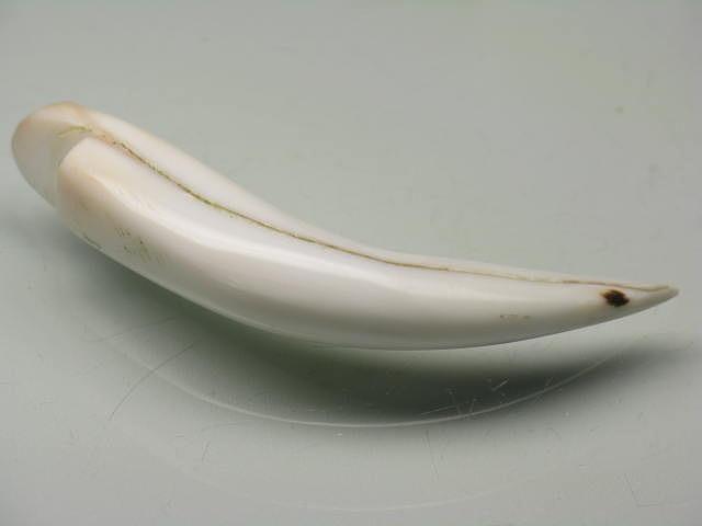 TOKO-BEADS AB304-19 Shell Charm 47.5mm AB304-19 シェルチャーム 47.5mm Asian bead & African bead  Handmade,Lampeork,bead,asia,india,ethnic,parts,accessory,beads とんぼ玉,ビーズ,トンボ玉,アジア,インド,エスニック,手作り,パーツ,アクセサリー