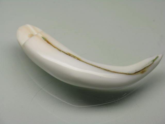 TOKO-BEADS AB304-20 Shell Charm 46.5mm AB304-20 シェルチャーム 46.5mm Asian bead & African bead  Handmade,Lampeork,bead,asia,india,ethnic,parts,accessory,beads とんぼ玉,ビーズ,トンボ玉,アジア,インド,エスニック,手作り,パーツ,アクセサリー