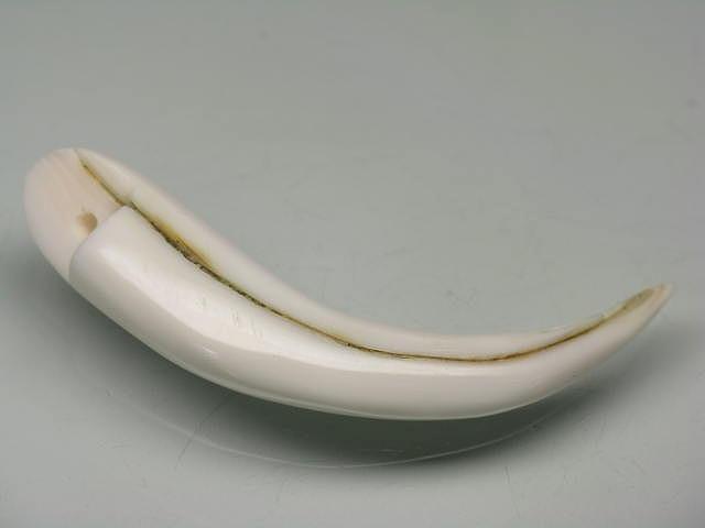 TOKO-BEADS AB304-38 Shell Charm 46mm AB304-38 シェルチャーム 46mm Asian bead & African bead  Handmade,Lampeork,bead,asia,india,ethnic,parts,accessory,beads とんぼ玉,ビーズ,トンボ玉,アジア,インド,エスニック,手作り,パーツ,アクセサリー