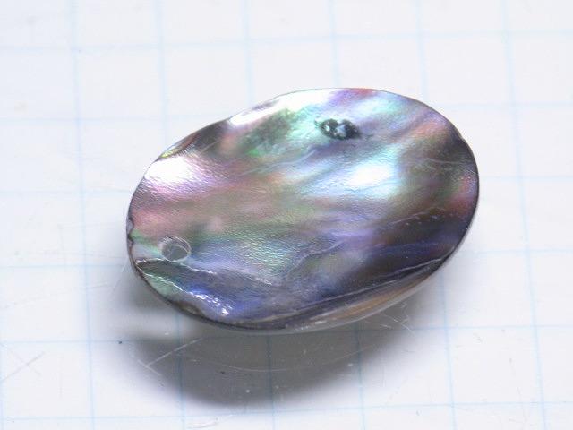 TOKO-BEADS AB307-08 Shell Charm 20mm AB307-08 シェルチャーム 20mm Asian bead & African bead  Handmade,Lampeork,bead,asia,india,ethnic,parts,accessory,beads とんぼ玉,ビーズ,トンボ玉,アジア,インド,エスニック,手作り,パーツ,アクセサリー
