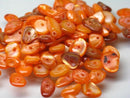 TOKO-BEADS AB309-09 Shell bead (30g) 6~14mm AB309-09 カラーシェルビーズ（30g） 6~14mm Asian bead & African bead  Handmade,Lampeork,bead,asia,india,ethnic,parts,accessory,beads とんぼ玉,ビーズ,トンボ玉,アジア,インド,エスニック,手作り,パーツ,アクセサリー