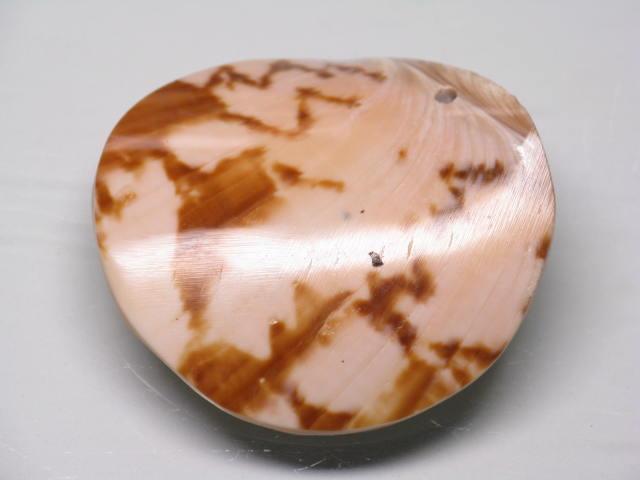 TOKO-BEADS AB312-15  Large Size Shell Charm 40mm AB312-15 大型シェルチャーム 40mm Asian bead & African bead  Handmade,Lampeork,bead,asia,india,ethnic,parts,accessory,beads とんぼ玉,ビーズ,トンボ玉,アジア,インド,エスニック,手作り,パーツ,アクセサリー
