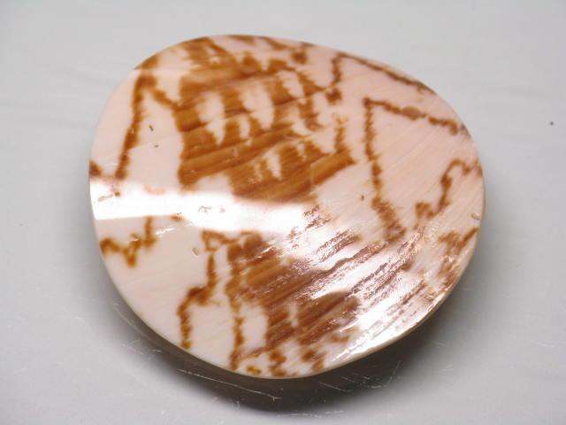 TOKO-BEADS AB312-19  Large Size Shell Charm 40mm AB312-19 大型シェルチャーム 40mm Asian bead & African bead  Handmade,Lampeork,bead,asia,india,ethnic,parts,accessory,beads とんぼ玉,ビーズ,トンボ玉,アジア,インド,エスニック,手作り,パーツ,アクセサリー