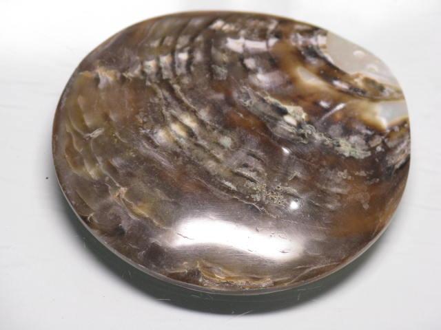 TOKO-BEADS AB313-03  Large Size Shell Charm 60mm AB313-03 大型シェルチャーム 60mm Asian bead & African bead  Handmade,Lampeork,bead,asia,india,ethnic,parts,accessory,beads とんぼ玉,ビーズ,トンボ玉,アジア,インド,エスニック,手作り,パーツ,アクセサリー