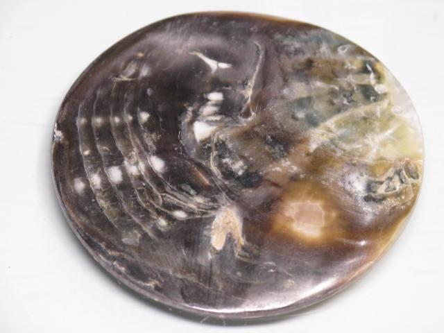TOKO-BEADS AB313-10  Large Size Shell Charm 60mm AB313-10 大型シェルチャーム 60mm Asian bead & African bead  Handmade,Lampeork,bead,asia,india,ethnic,parts,accessory,beads とんぼ玉,ビーズ,トンボ玉,アジア,インド,エスニック,手作り,パーツ,アクセサリー