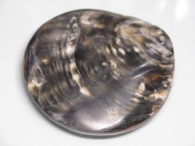TOKO-BEADS AB313-12  Large Size Shell Charm 60mm AB313-12 大型シェルチャーム 60mm Asian bead & African bead  Handmade,Lampeork,bead,asia,india,ethnic,parts,accessory,beads とんぼ玉,ビーズ,トンボ玉,アジア,インド,エスニック,手作り,パーツ,アクセサリー