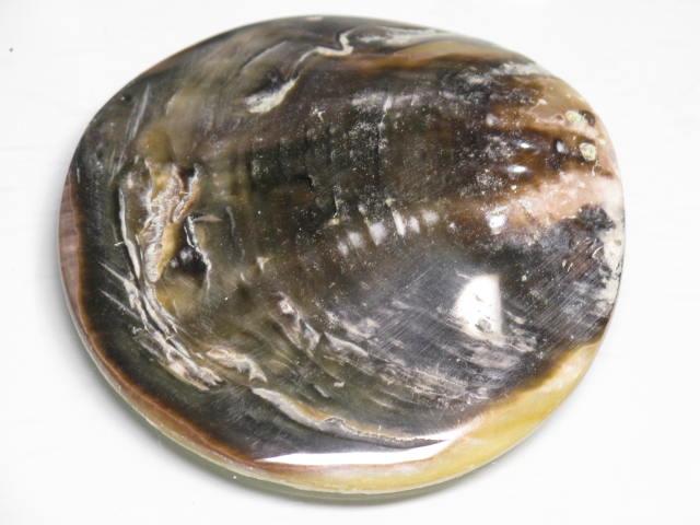 TOKO-BEADS AB313-18  Large Size Shell Charm 60mm AB313-18 大型シェルチャーム 60mm Asian bead & African bead  Handmade,Lampeork,bead,asia,india,ethnic,parts,accessory,beads とんぼ玉,ビーズ,トンボ玉,アジア,インド,エスニック,手作り,パーツ,アクセサリー