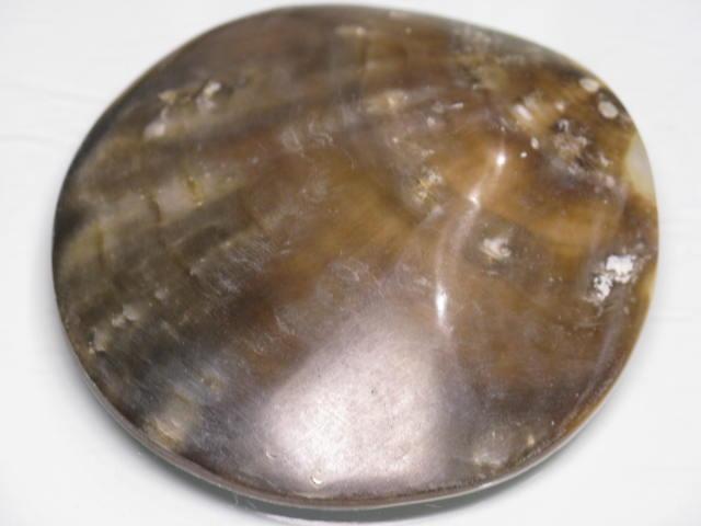 TOKO-BEADS AB313-26  Large Size Shell Charm 60mm AB313-26 大型シェルチャーム 60mm Asian bead & African bead  Handmade,Lampeork,bead,asia,india,ethnic,parts,accessory,beads とんぼ玉,ビーズ,トンボ玉,アジア,インド,エスニック,手作り,パーツ,アクセサリー