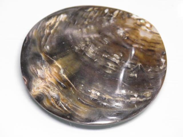 TOKO-BEADS AB313-27  Large Size Shell Charm 60mm AB313-27 大型シェルチャーム 60mm Asian bead & African bead  Handmade,Lampeork,bead,asia,india,ethnic,parts,accessory,beads とんぼ玉,ビーズ,トンボ玉,アジア,インド,エスニック,手作り,パーツ,アクセサリー