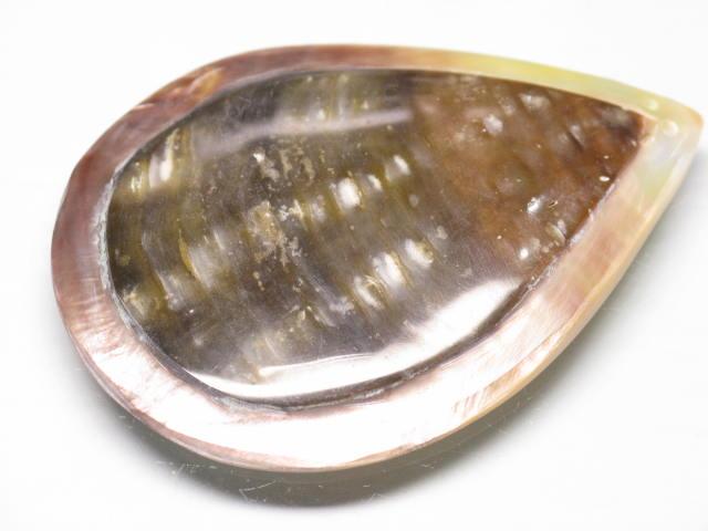 TOKO-BEADS AB314-01  Large Size Shell Charm 40mm AB314-01 大型シェルチャーム 40mm Asian bead & African bead  Handmade,Lampeork,bead,asia,india,ethnic,parts,accessory,beads とんぼ玉,ビーズ,トンボ玉,アジア,インド,エスニック,手作り,パーツ,アクセサリー