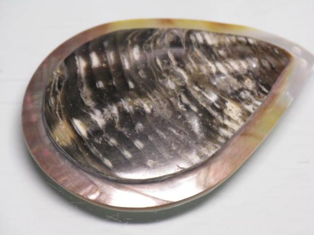 TOKO-BEADS AB314-11  Large Size Shell Charm 40mm AB314-11 大型シェルチャーム 40mm Asian bead & African bead  Handmade,Lampeork,bead,asia,india,ethnic,parts,accessory,beads とんぼ玉,ビーズ,トンボ玉,アジア,インド,エスニック,手作り,パーツ,アクセサリー