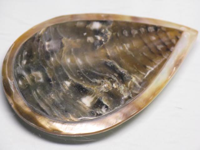 TOKO-BEADS AB314-14  Large Size Shell Charm 40mm AB314-14 大型シェルチャーム 40mm Asian bead & African bead  Handmade,Lampeork,bead,asia,india,ethnic,parts,accessory,beads とんぼ玉,ビーズ,トンボ玉,アジア,インド,エスニック,手作り,パーツ,アクセサリー