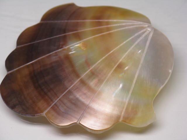 TOKO-BEADS AB317-03  Large Size Shell Charm 58mm AB317-03 大型シェルチャーム 58mm Asian bead & African bead  Handmade,Lampeork,bead,asia,india,ethnic,parts,accessory,beads とんぼ玉,ビーズ,トンボ玉,アジア,インド,エスニック,手作り,パーツ,アクセサリー