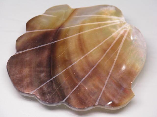 TOKO-BEADS AB317-16  Large Size Shell Charm 58mm AB317-16 大型シェルチャーム 58mm Asian bead & African bead  Handmade,Lampeork,bead,asia,india,ethnic,parts,accessory,beads とんぼ玉,ビーズ,トンボ玉,アジア,インド,エスニック,手作り,パーツ,アクセサリー