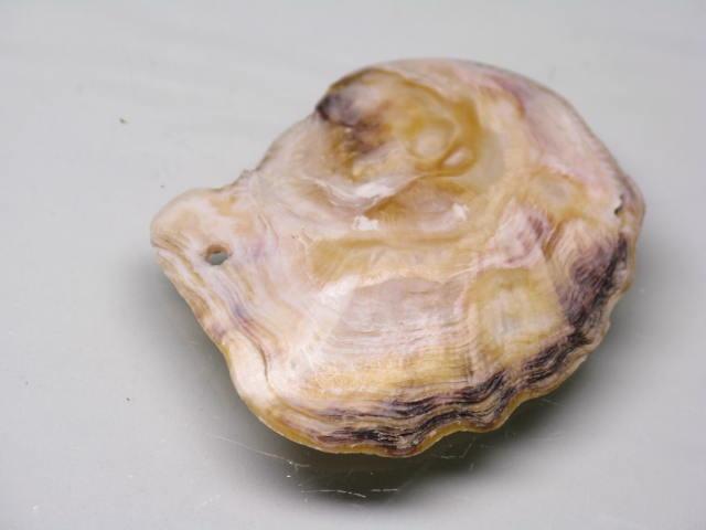 TOKO-BEADS AB322-06 Shell Charm 37mm AB322-06 シェルチャーム 37mm Asian bead & African bead  Handmade,Lampeork,bead,asia,india,ethnic,parts,accessory,beads とんぼ玉,ビーズ,トンボ玉,アジア,インド,エスニック,手作り,パーツ,アクセサリー
