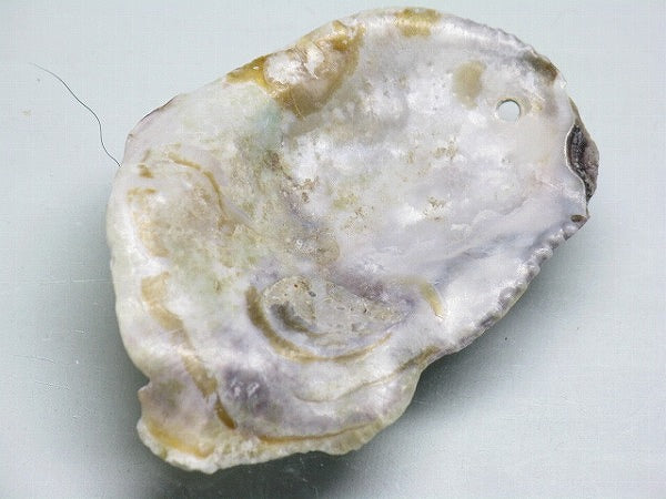 TOKO-BEADS AB322-08 Shell Charm 42mm AB322-08 シェルチャーム 42mm Asian bead & African bead  Handmade,Lampeork,bead,asia,india,ethnic,parts,accessory,beads とんぼ玉,ビーズ,トンボ玉,アジア,インド,エスニック,手作り,パーツ,アクセサリー