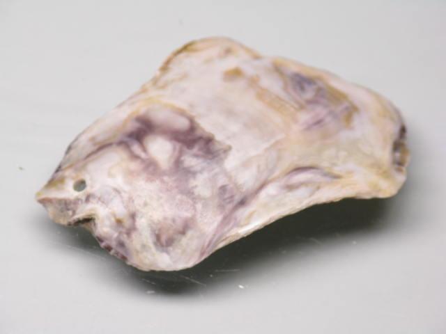 TOKO-BEADS AB322-12 Shell Charm 46mm AB322-12 シェルチャーム 46mm Asian bead & African bead  Handmade,Lampeork,bead,asia,india,ethnic,parts,accessory,beads とんぼ玉,ビーズ,トンボ玉,アジア,インド,エスニック,手作り,パーツ,アクセサリー