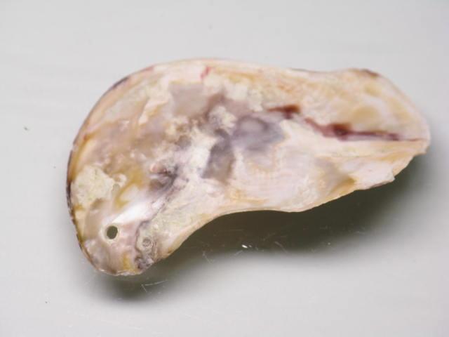 TOKO-BEADS AB322-14 Shell Charm 44mm AB322-14 シェルチャーム 44mm Asian bead & African bead  Handmade,Lampeork,bead,asia,india,ethnic,parts,accessory,beads とんぼ玉,ビーズ,トンボ玉,アジア,インド,エスニック,手作り,パーツ,アクセサリー