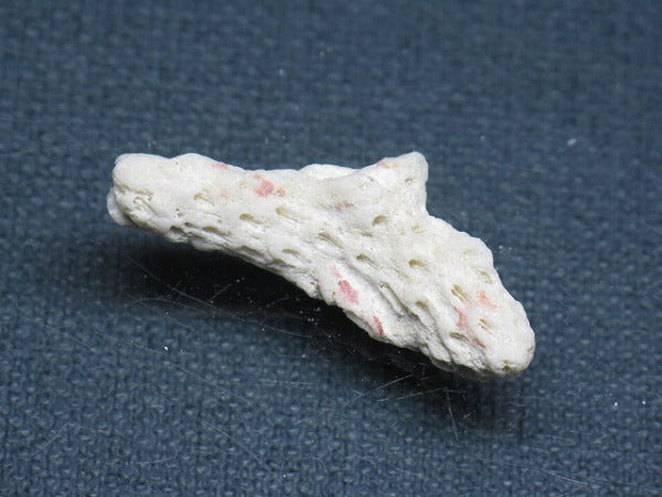 TOKO-BEADS AB326-04 Beach Coral 32mm AB326-04 ビーチサンゴ 32mm Asian bead & African bead  Handmade,Lampeork,bead,asia,india,ethnic,parts,accessory,beads とんぼ玉,ビーズ,トンボ玉,アジア,インド,エスニック,手作り,パーツ,アクセサリー