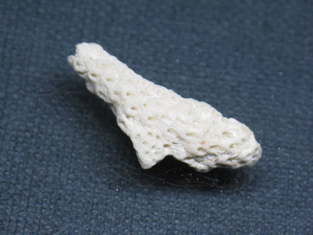 TOKO-BEADS AB326-04 Beach Coral 32mm AB326-04 ビーチサンゴ 32mm Asian bead & African bead  Handmade,Lampeork,bead,asia,india,ethnic,parts,accessory,beads とんぼ玉,ビーズ,トンボ玉,アジア,インド,エスニック,手作り,パーツ,アクセサリー