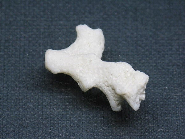 TOKO-BEADS AB326-06 Beach Coral 30mm AB326-06 ビーチサンゴ 30mm Asian bead & African bead  Handmade,Lampeork,bead,asia,india,ethnic,parts,accessory,beads とんぼ玉,ビーズ,トンボ玉,アジア,インド,エスニック,手作り,パーツ,アクセサリー